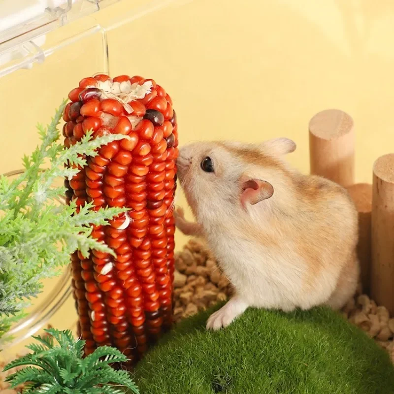 Hamster Food Staple Food Molar Toys Golden Bear Rabbit Chinchilla Molar Corn Cob Molar Snack Hamster Toys