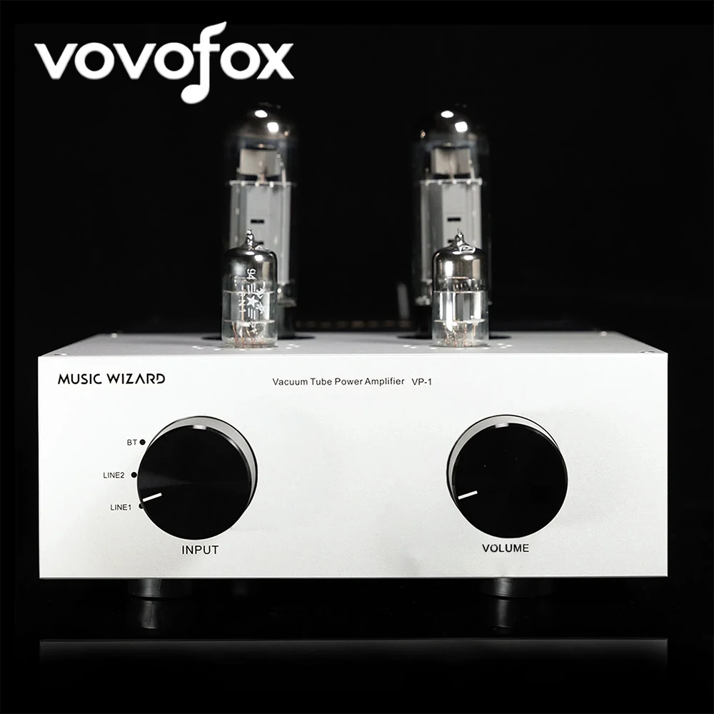 Integrated Amplifie… - image