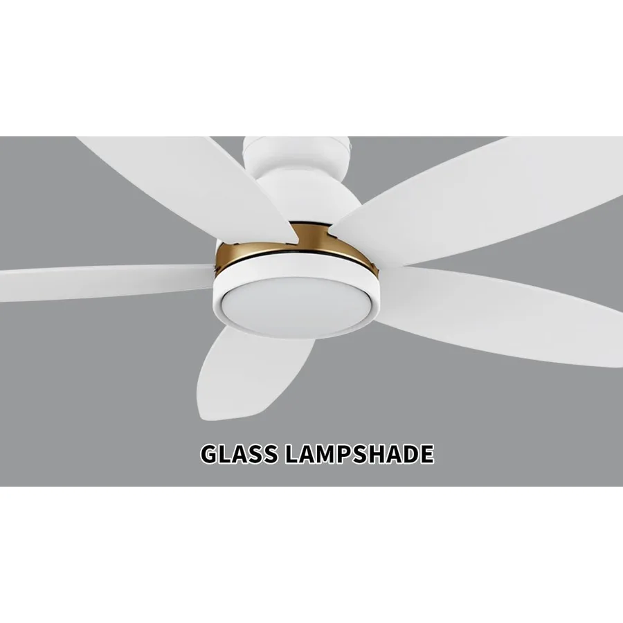 48 Ceiling Fan with Light Flush Mount DC 10 Speeds Silent Ceiling Fan with Remote Control 3 Adjustable Light Colors Dimmable LE