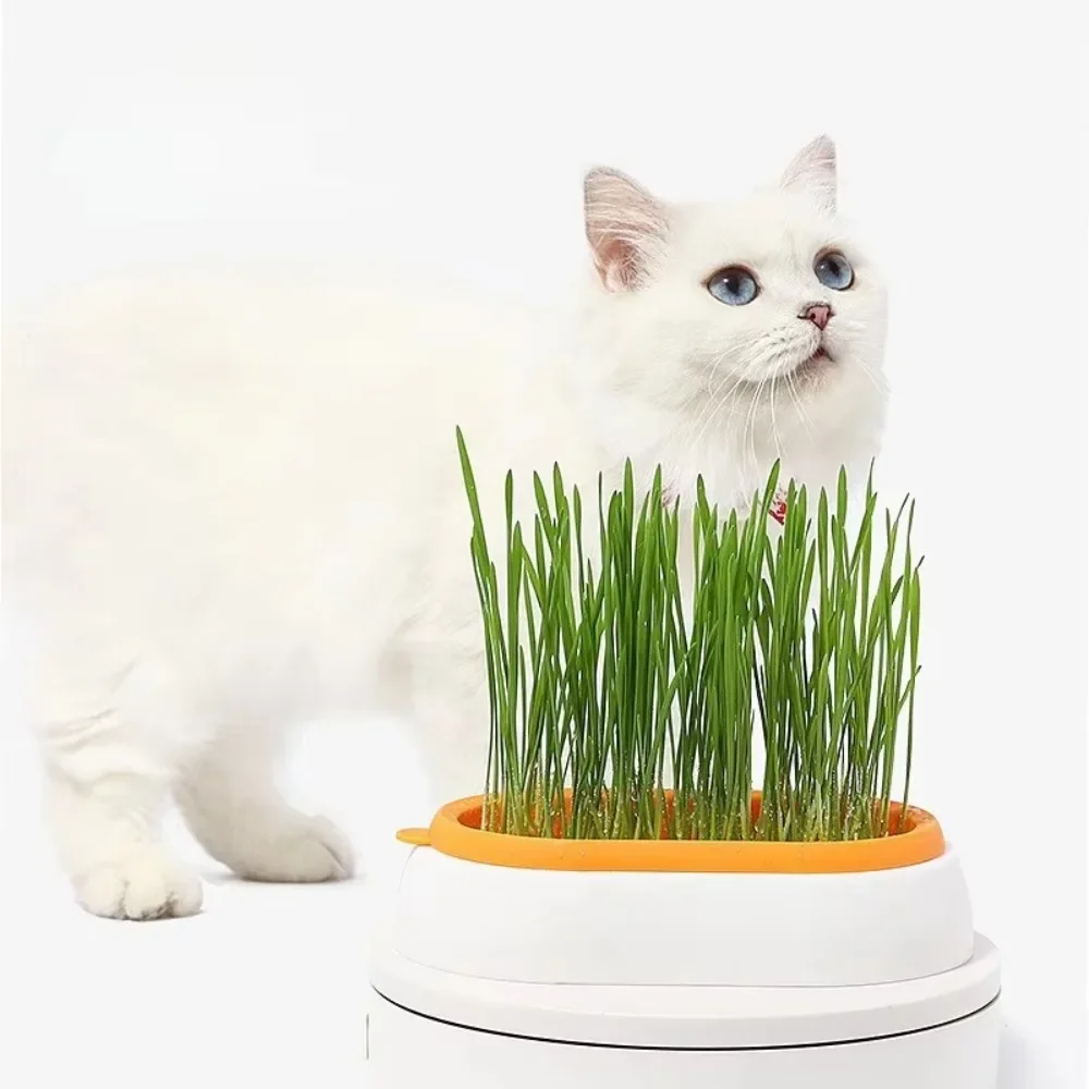 Cat Grass Planting Boxes Soilless Hydroponic Plant Cat Grass Home Seed Sprouter Tray Growing Cup Germination Greenhouse Grow Box