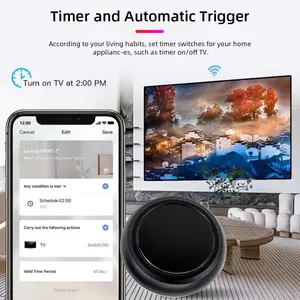 Universal Infrared Remote Control for Alexa and Google Home, WiFi, IR, Voice Control, Tuya Smart Life App 10 Main Infrared Sales - №3
