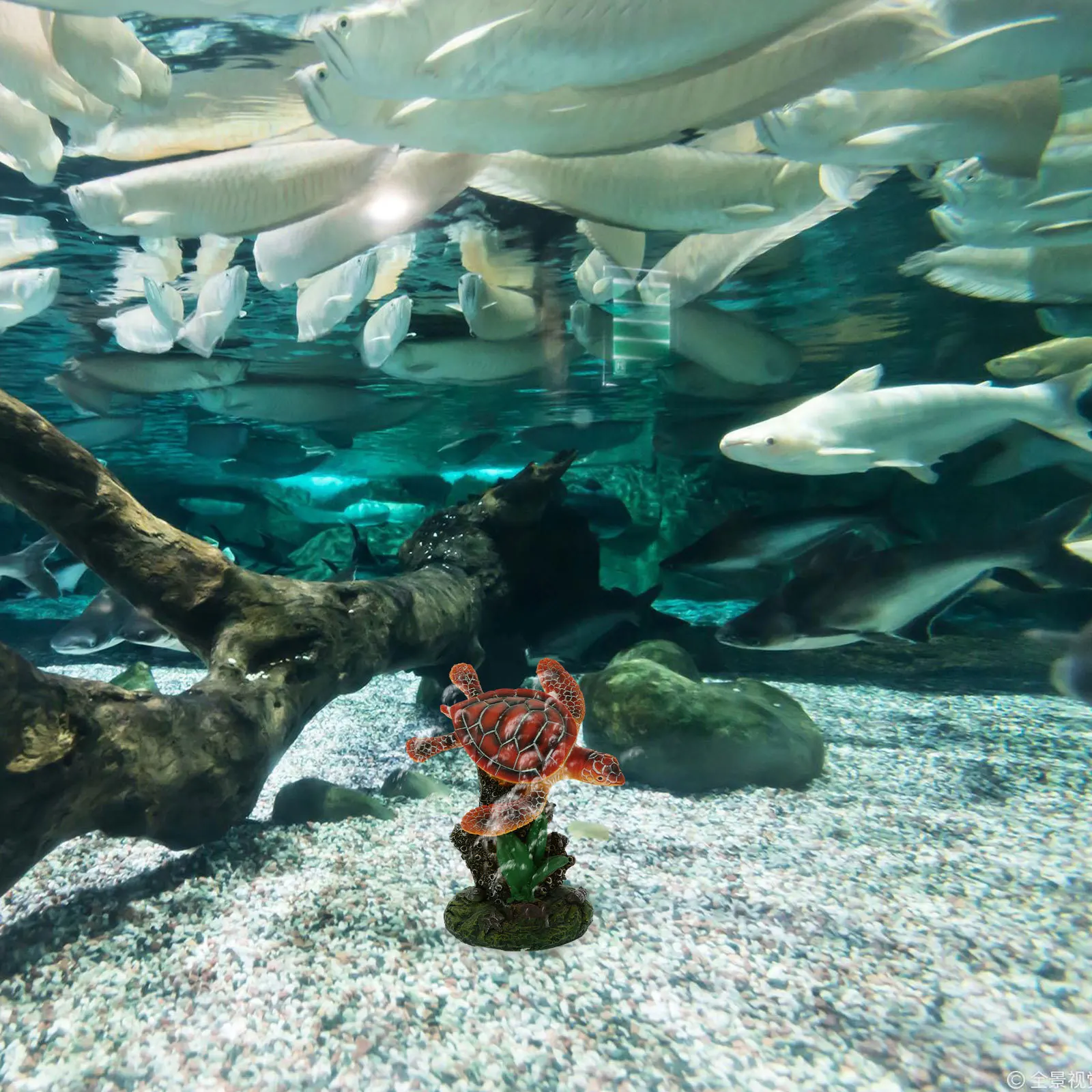 

1Pcs Small Resin Turtle Ornament Long-Lasting Desktop Decoration Fish Tank Sculpture Turtle Shape Resin Animal Structure