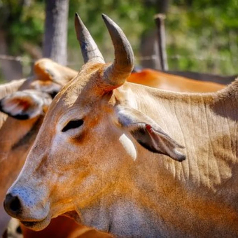 

4 шт., металлическая ступица обода колеса 1,9 для 1/10 Trxs Hsp Redcat Rc4wd Tamiya Axial SCX10 D90 HPI, запасная часть для радиоуправляемого автомобиля