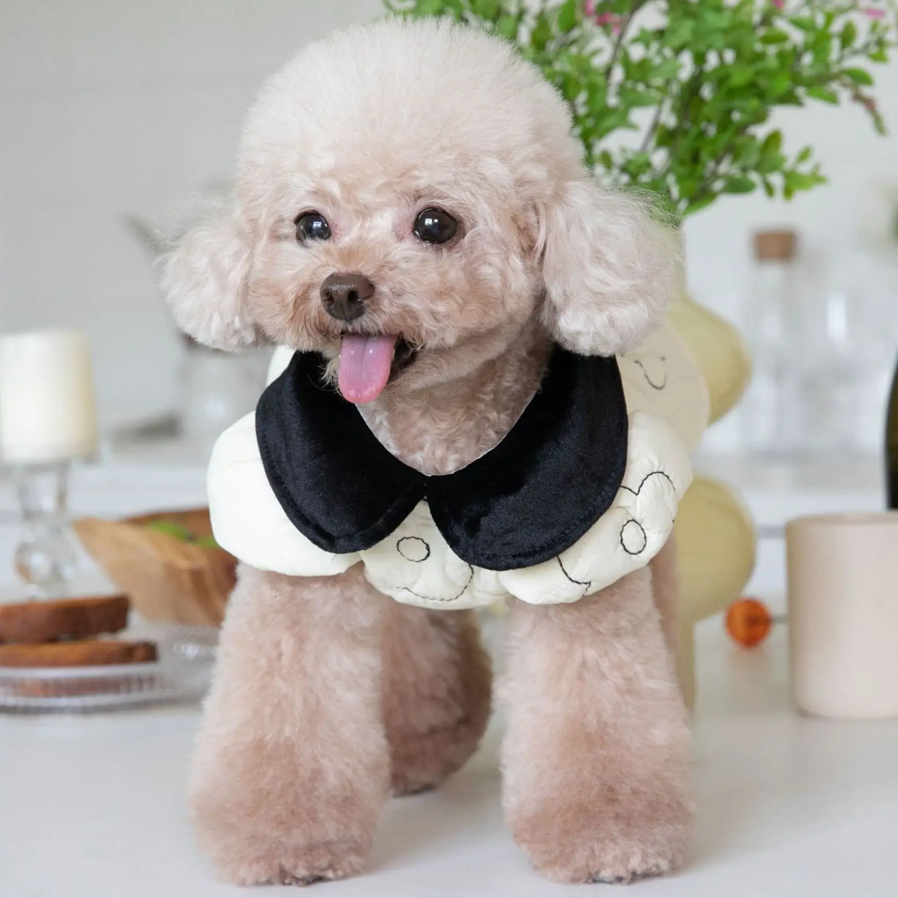 

Cute Flower Pet Clothes, Cotton Dog Coat, Plush Jacket, Lovely Cat Clothes, Autumn and Winter