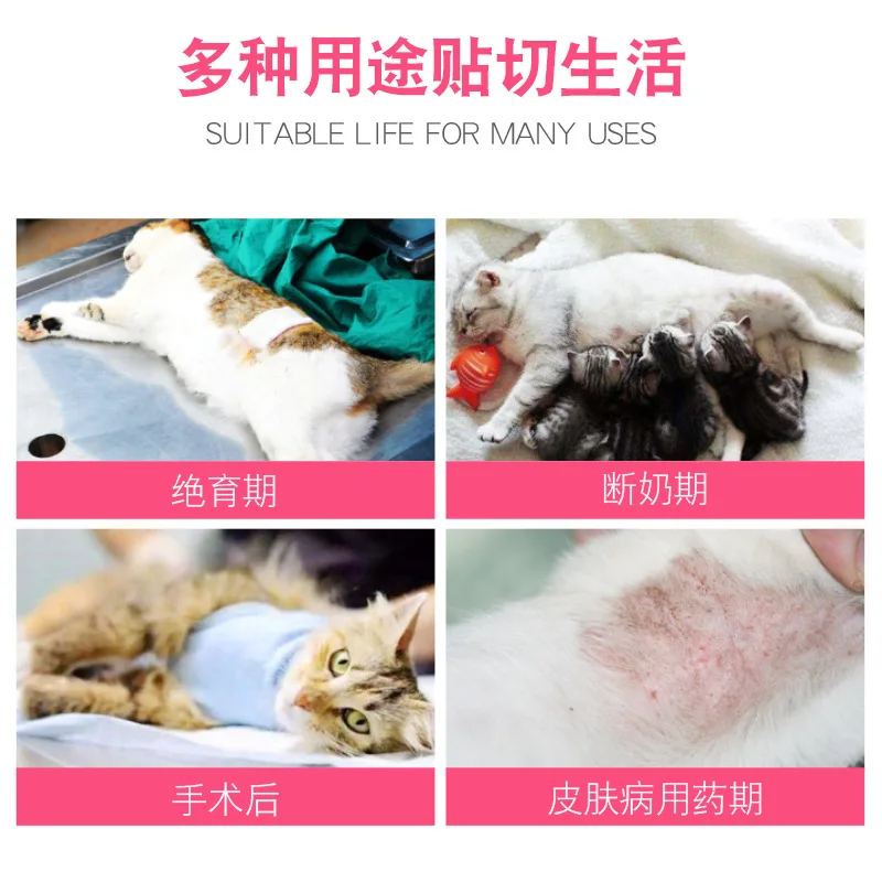 Cat Sterilization Clothes Female Cat Surgical Gown Summer Weaning Thin Anti-Kittens Bite