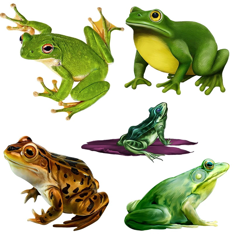 Three Ratels CP6 Funny frog cartoon animal sticker kid's bedroom wall sticker Toilet decal