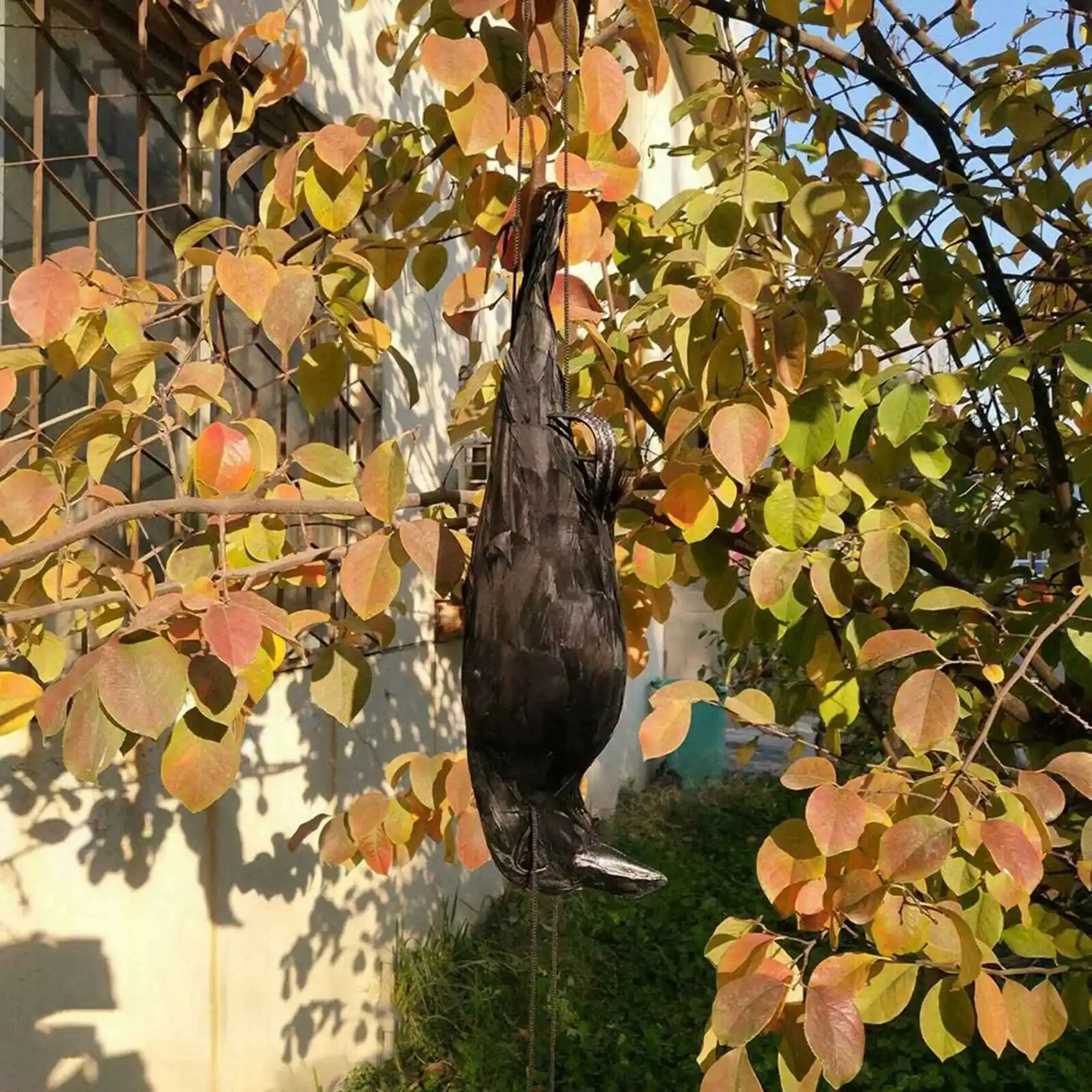 3X Realistic Hanging Dead Crow Decoy Lifesize Extra Large Black Feathered Crow-B61B