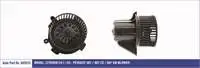 Store code: 343515 for heater engine P307 nc4 autocooling