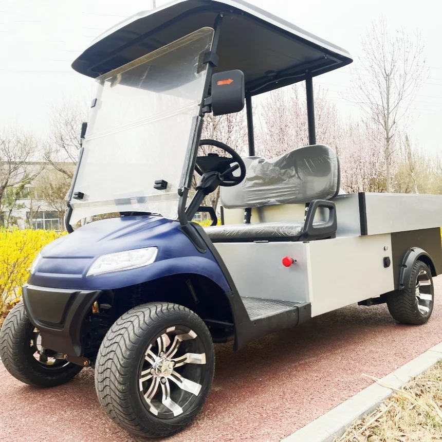 

High Quality Electric Golf Cart With 60V Lithium Battery 2 Seats Electric Mini Cargo Cart With Rear Cargo Box With Factory Price