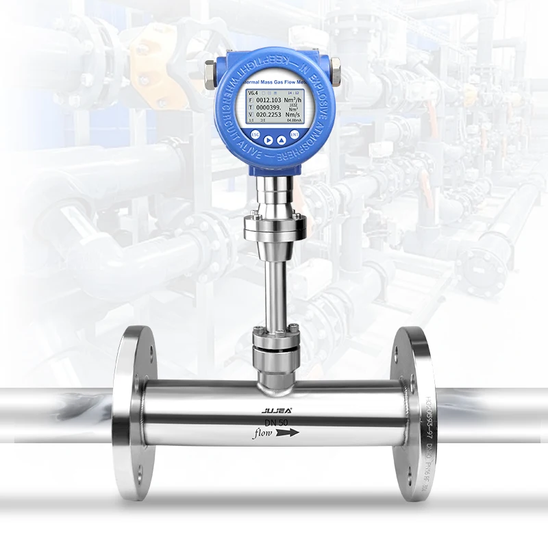 Immagine 4: Misuratore di Flusso di Massa Termico Digitale ad Alta Precisione per Gas e Aria