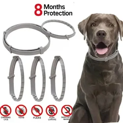 Dog Anti Flea And Ticks Cats Collar Pet 8Month Protection Retractable Pet Collars For Puppy Cat Large Dogs Accessories