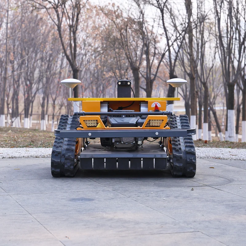 Customized Robotic …