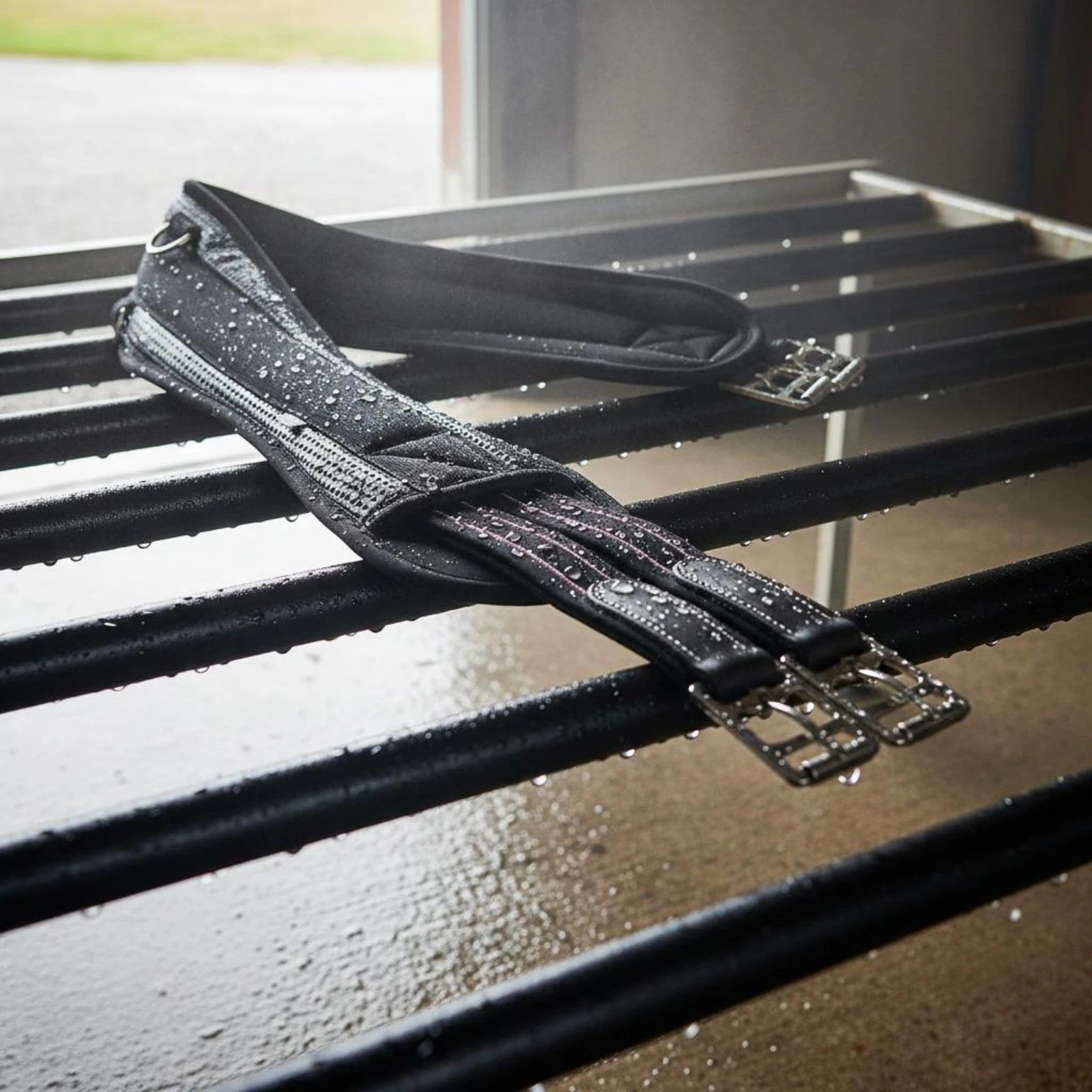 black-horse-girth-buckle-fastener-padded-saddle-girth-equestrian-gear-d-loop-adjustable
