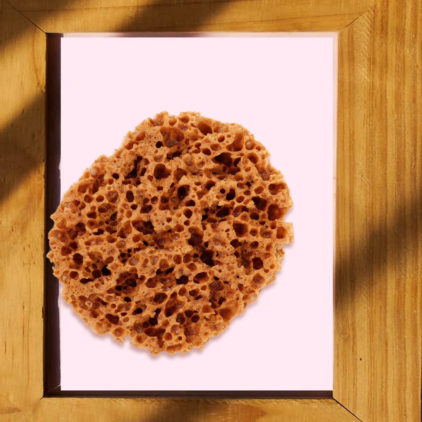 

Sea Sponge Painting Tool Versatile Natural Sponge for Art Wall Furniture Texture Painting Sponges for Acrylic Paint