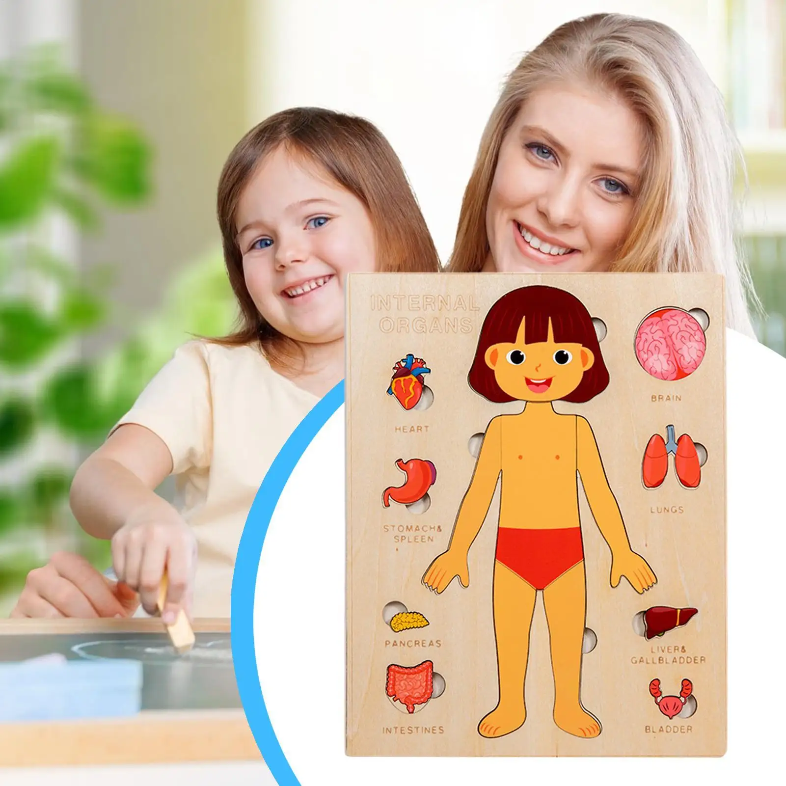 Anatomia humana para crianças, quebra-cabeça educacional de madeira para corpo humano, brinquedos científicos para crianças pequenas, viagens, meninos, meninas, jovens, escola hospitalar