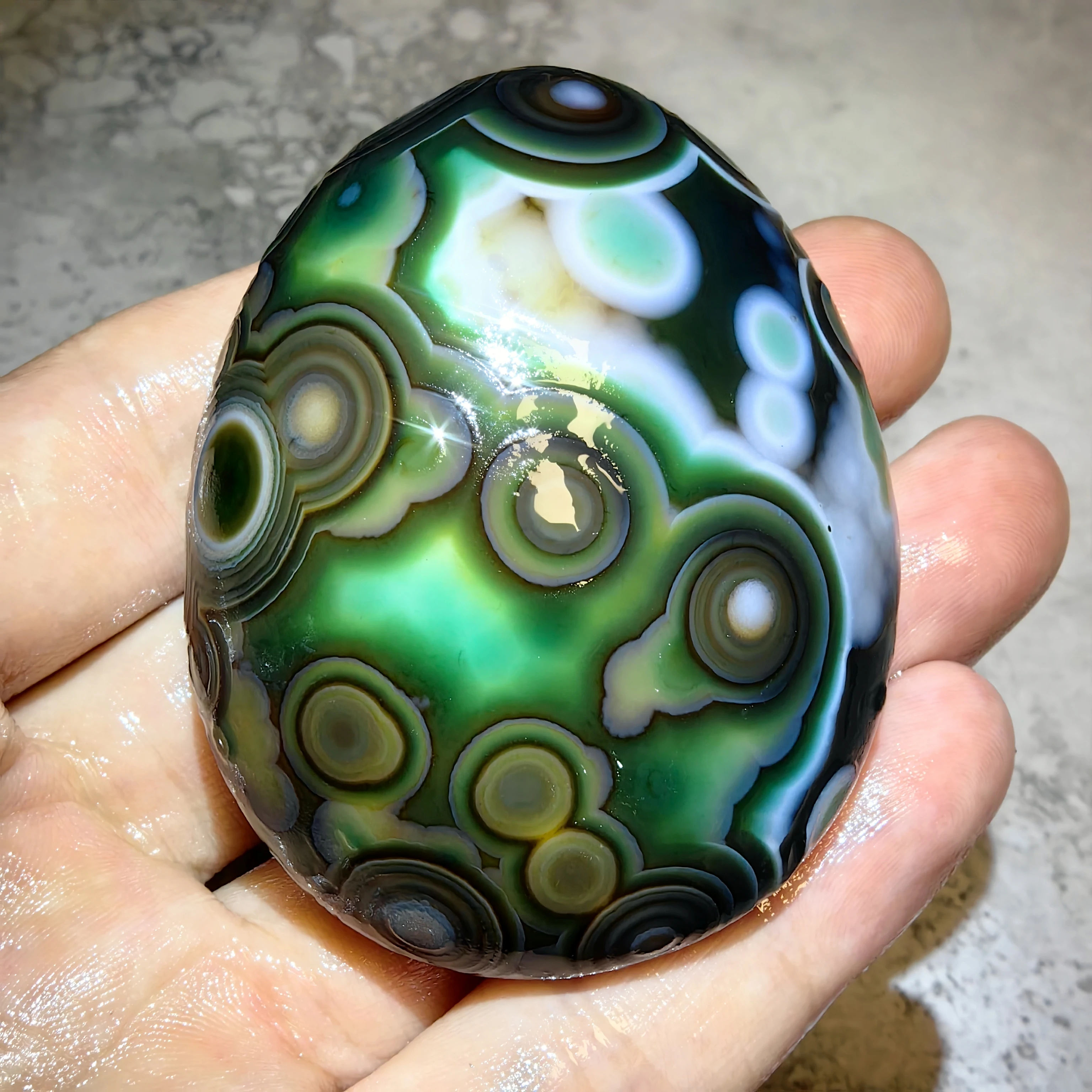 Natural Gobi Big Eye Agate Stone with Concentric Rings Oval Form with Layered Circular Motifs Perfect Accent Decoration