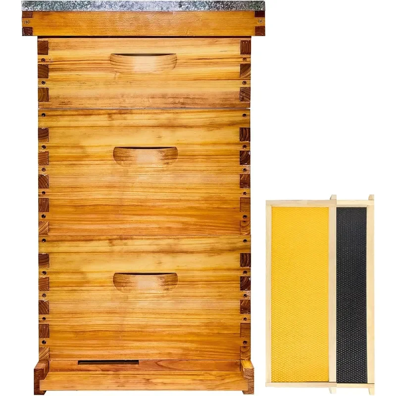 10 Frame Bee Hive Beeswax Coated Includes Beehive Frames and Foundations 2 Deep Boxes and 1 Medium Box