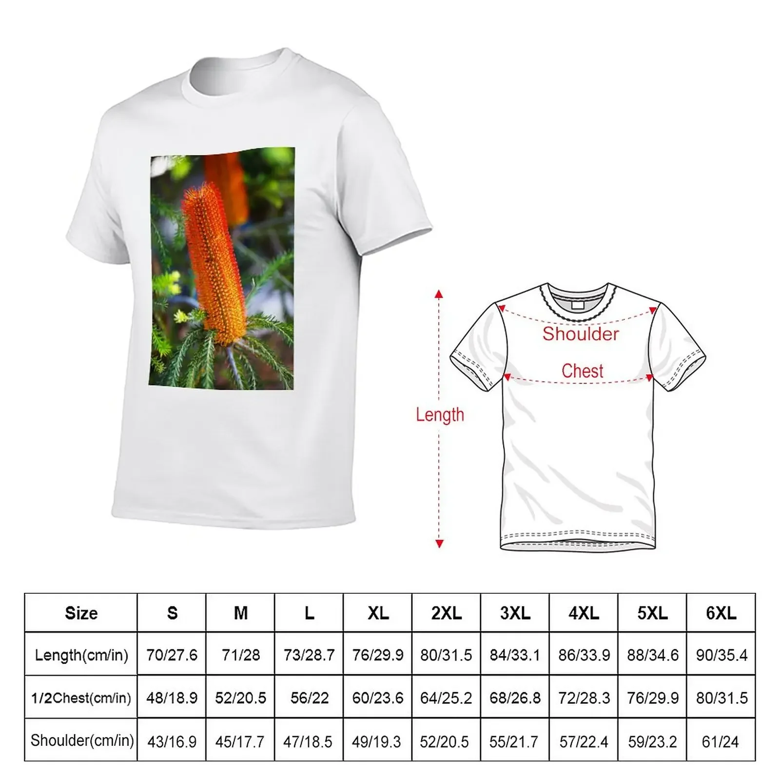 New Banksia Ericifolia Candle Flowers T-Shirt blank t shirts t shirt man aesthetic clothes T-shirt for a boy Men's t-shirts