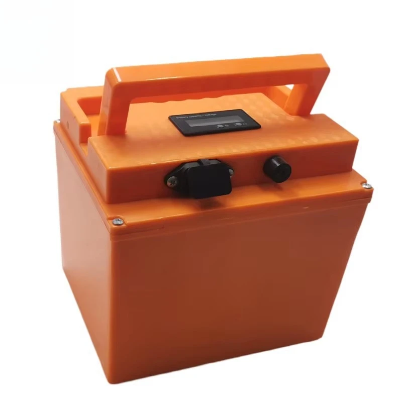 Electric Bike 48v Lifep04 Batterie 20ah 25ah 30 Ah Lithium Ion Battery for Ebike