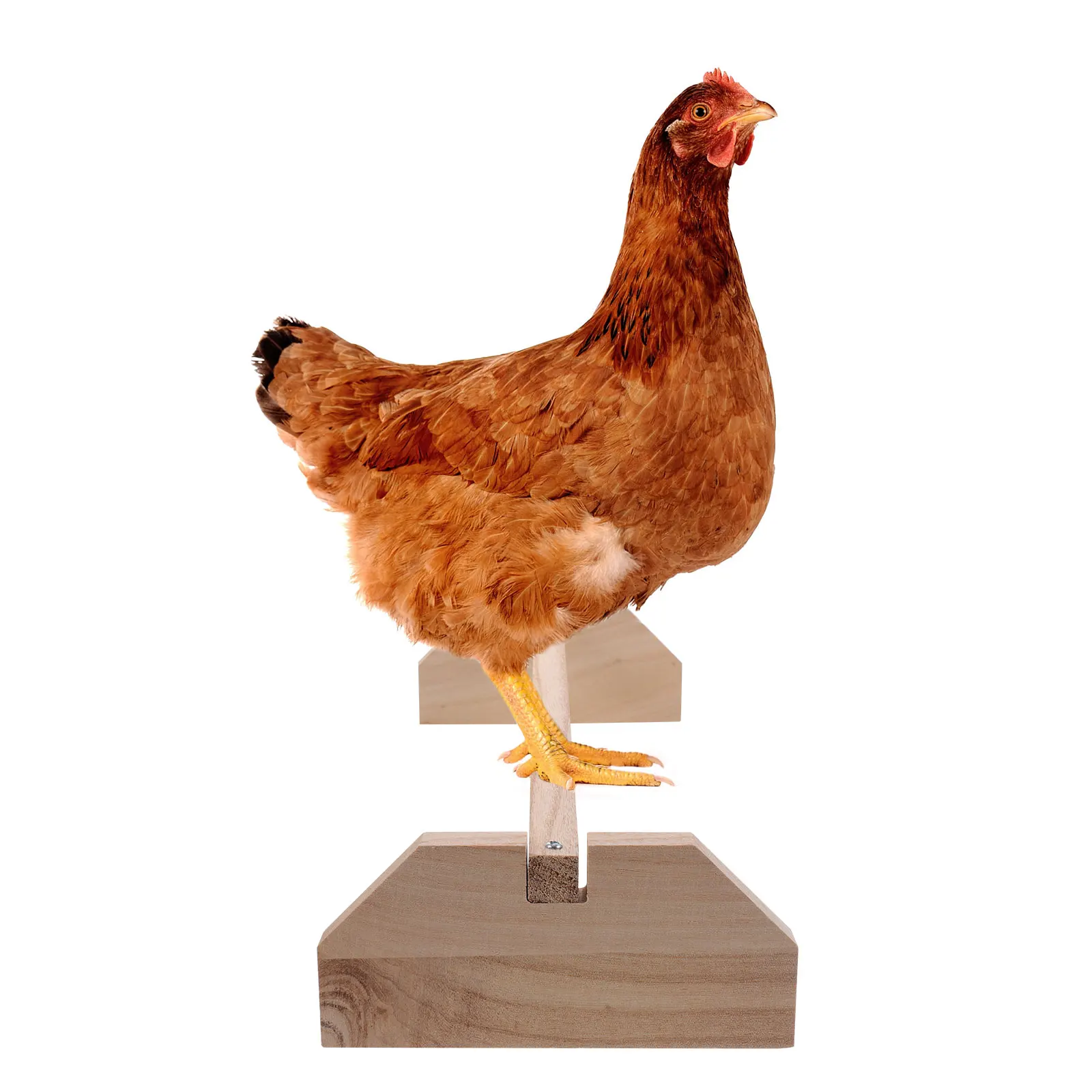 

Wooden Chicken Perch Natural Standing Toy Hens Roosting Frame Indoor Outdoor Pet Supplies Bird Cage Wooden Stand