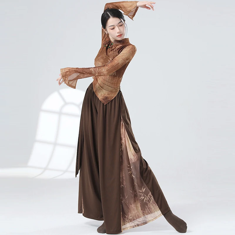 Women Dance Tops Pants Flowing Chinese Style Ballet Classical Dance Practice Performance Costume Folk Dance Wide-Leg Pants