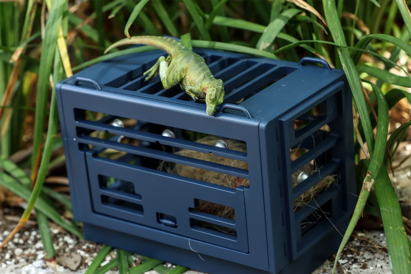 DINO DREAM Studio 1/30 Scale Juvenile Tyrannosaurus Cage Model T-Rex Dinosaur Animal Collection Decoration Statue Birthday Gift view 3