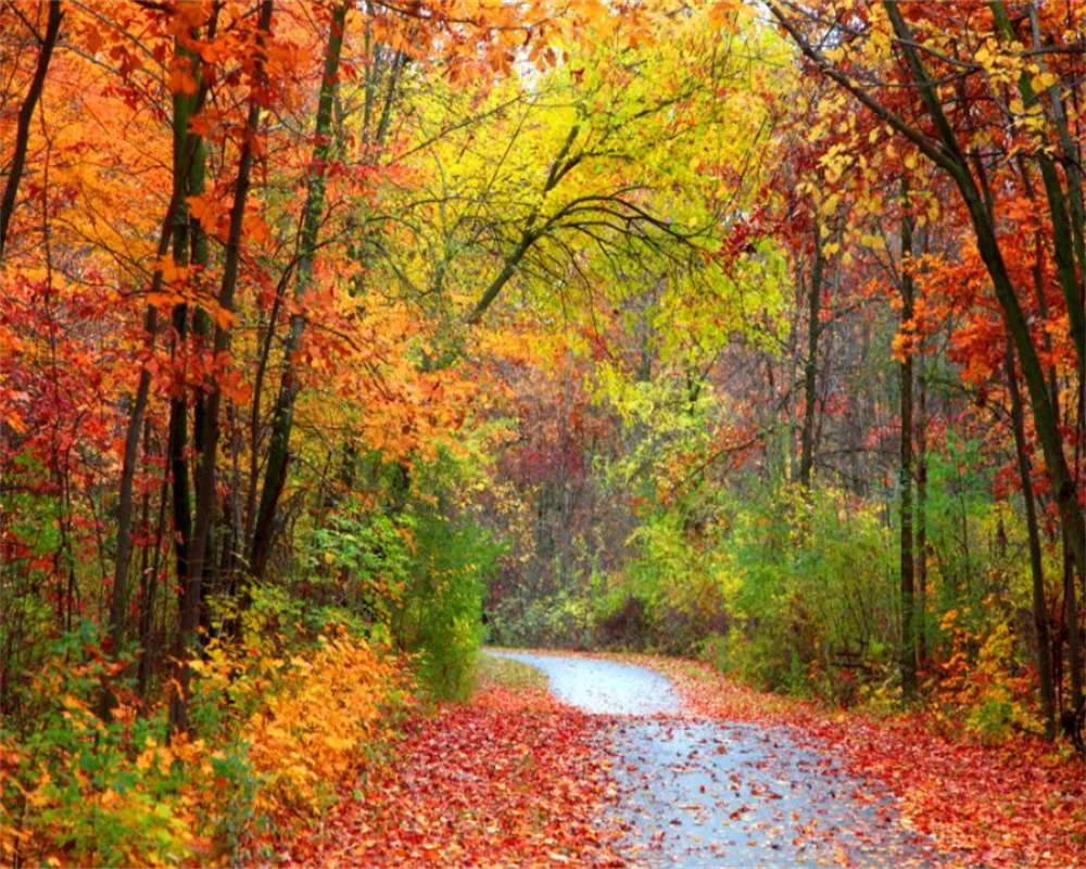 

Beibehang пользовательские красные кленовые обои для пути, современные красивые обои для гостиной, спальни, украшение для дома, папье-пейнт