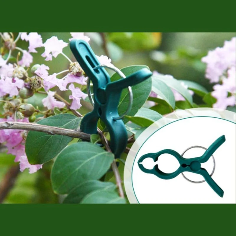 Fixed Plastic Plant Clips, Plant Support Clips Plant Clips For Climbing Plants, Fixed Plant Vine Clips For Garden Vines