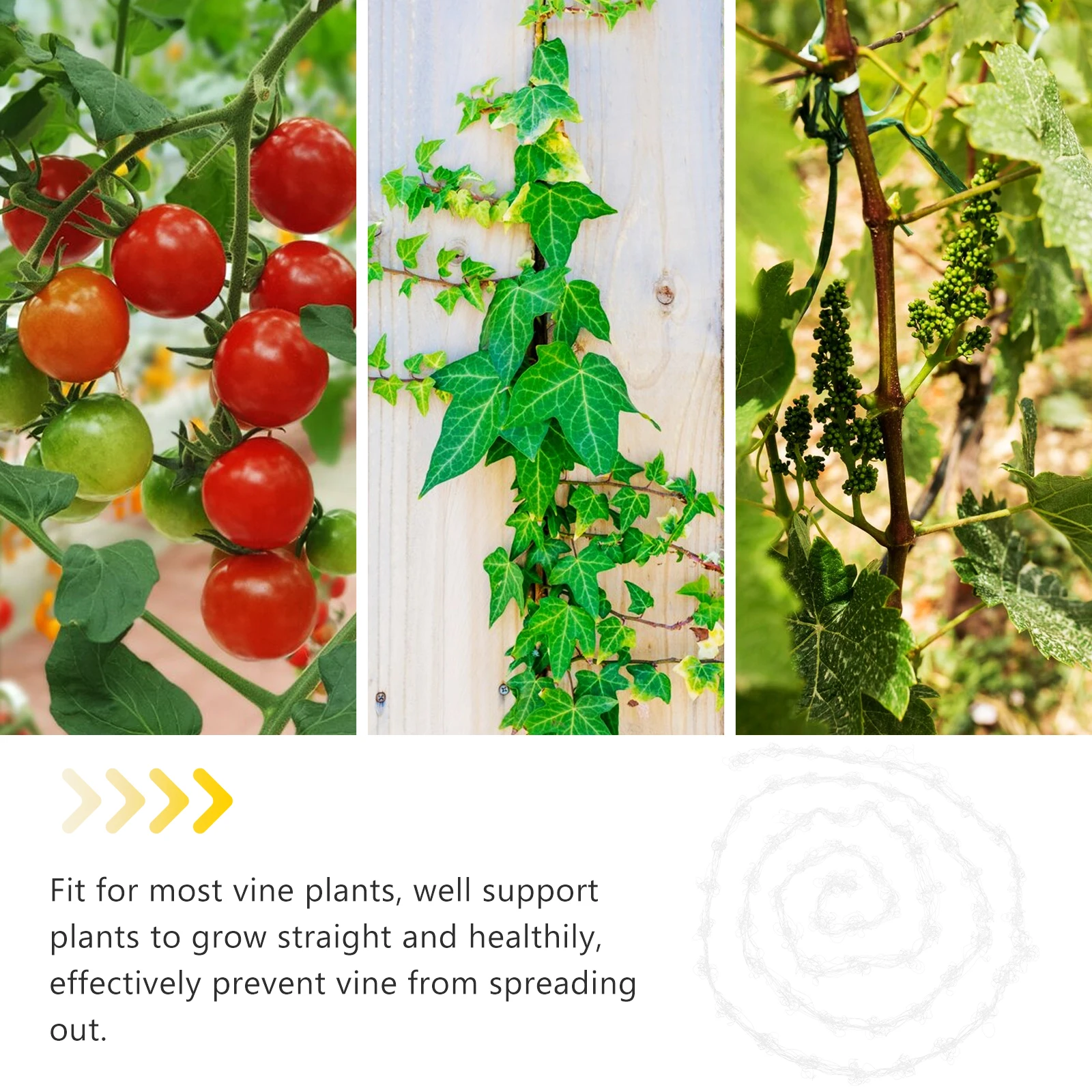 

Wear Resistant Plant Trellis Netting Garden Climbing Net Vine Climbing Net Plant Support Netting for Garden Plants