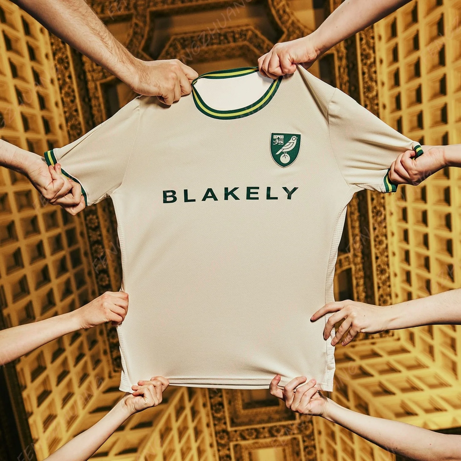 

25/26 New Summer Men Child Norwich T-Shirt Jersey Sports Tops Tees Kids Vintage Special Edition Camiseta Football Clothing