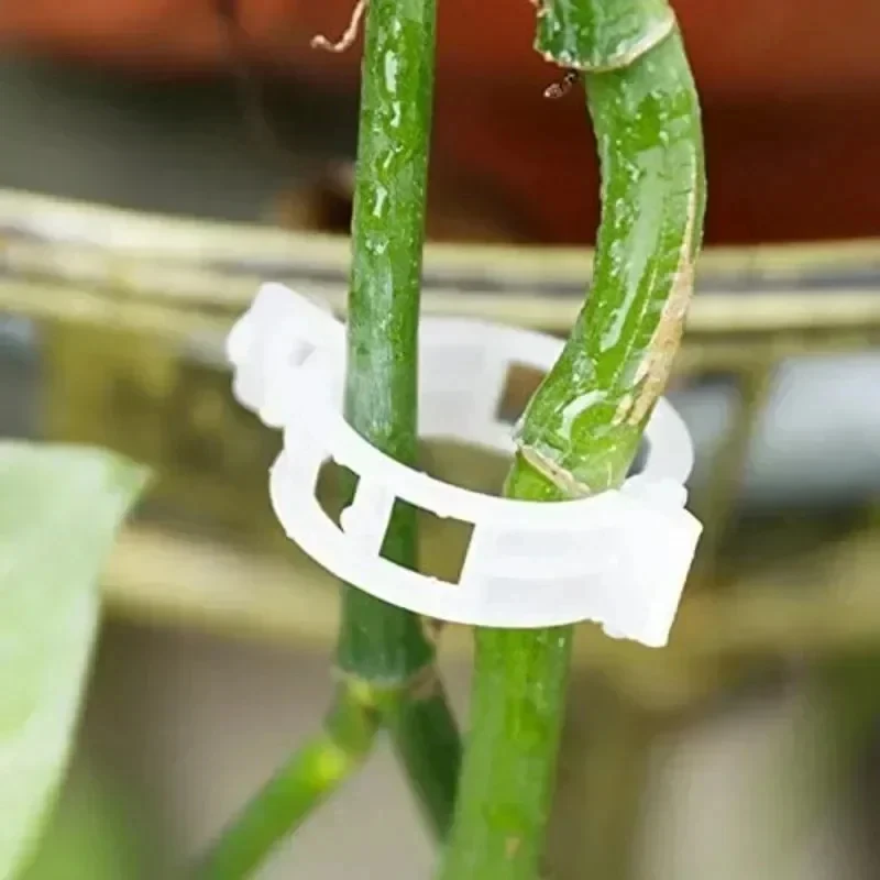 50-500Pcs Plastic Plant Clips Supports Connects Reusable Protection Grafting Fixing Tool Gardening Supplies For Vegetable Tomato