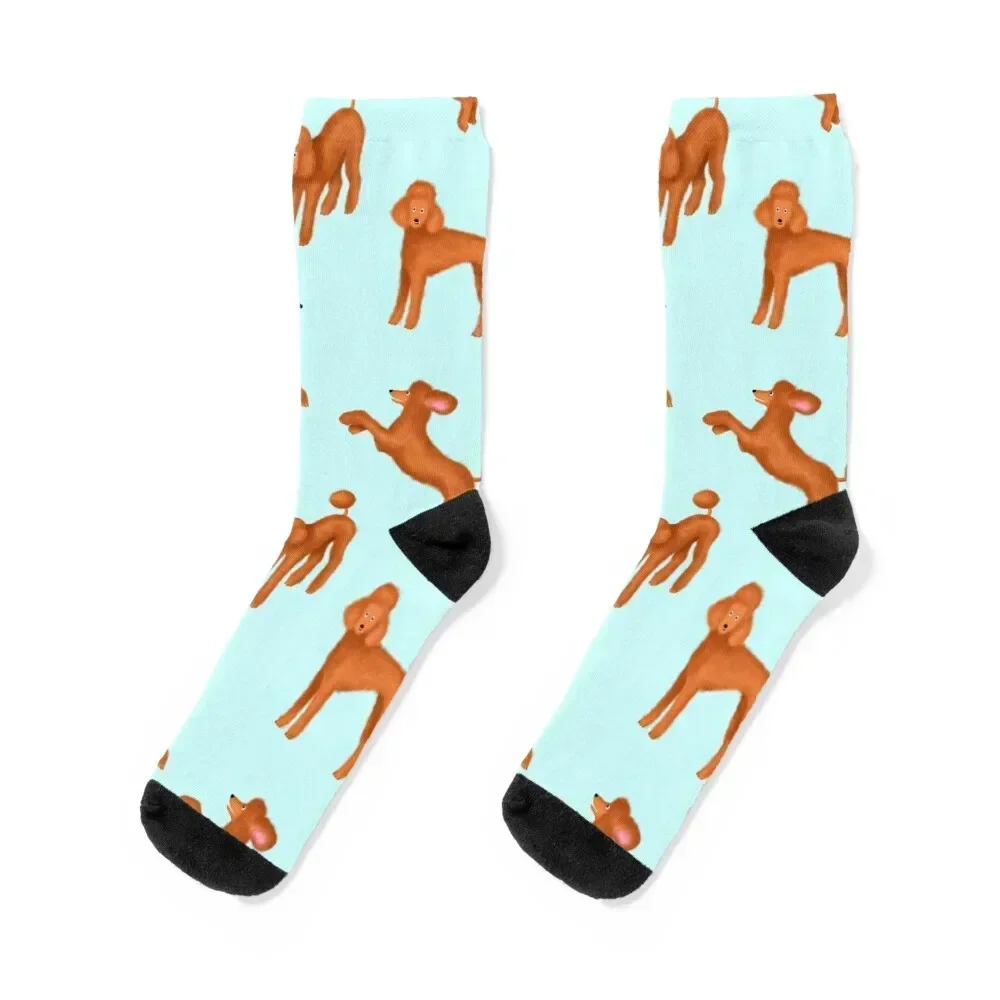 Red Poodles Pattern (Light Blue Background) Socks snow golf Socks For Man Women's