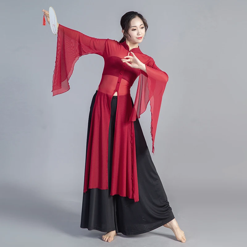 Top a maniche larghe da danza classica Stile cinese Tradizionale ed elegante Pratica Hanfu Camicetta Costume da danza moderna da fata femminile