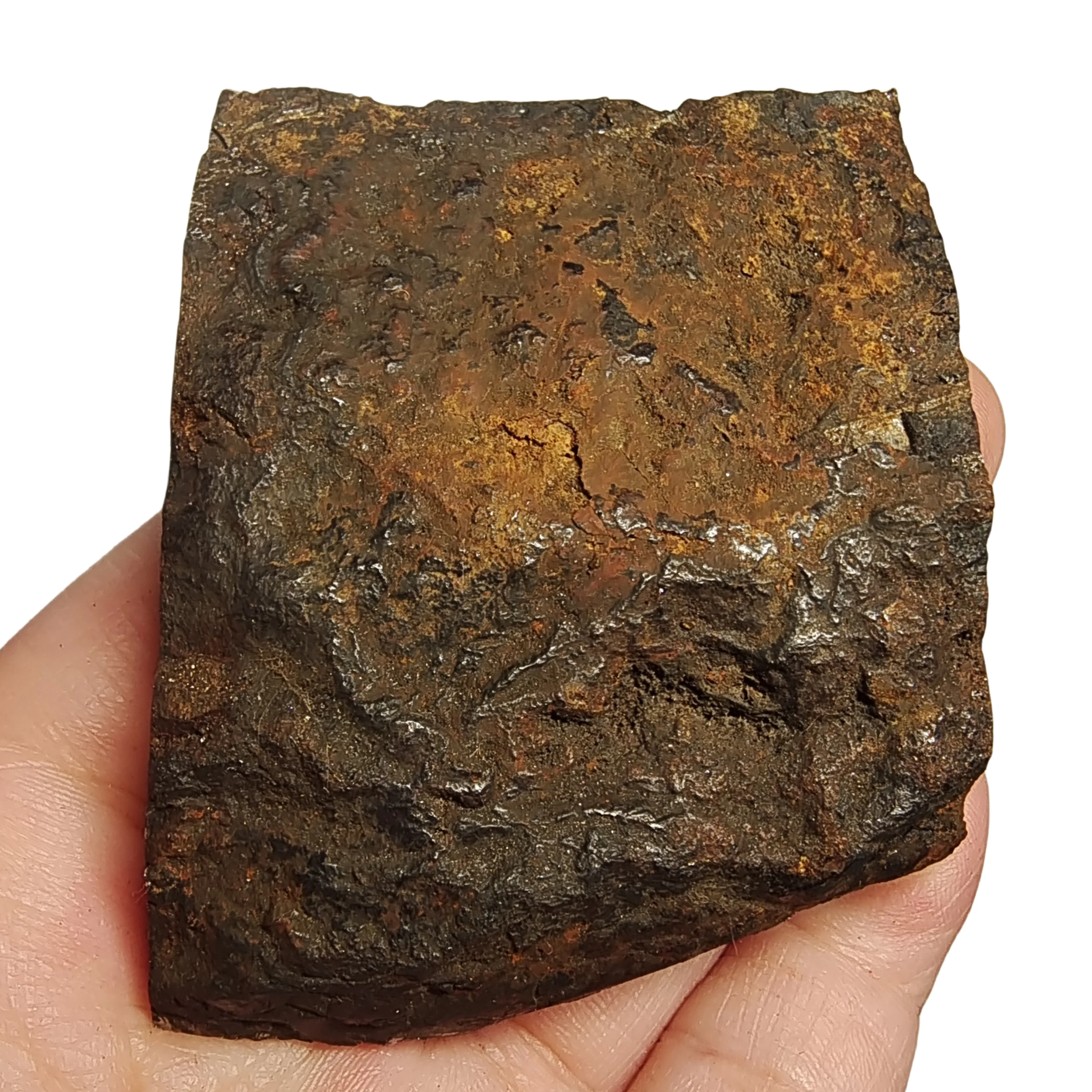 269.1g Muonionalusta Natural iron meteorite specimen section Iron meteorite materials Meteorite Specimen Collection -QC767