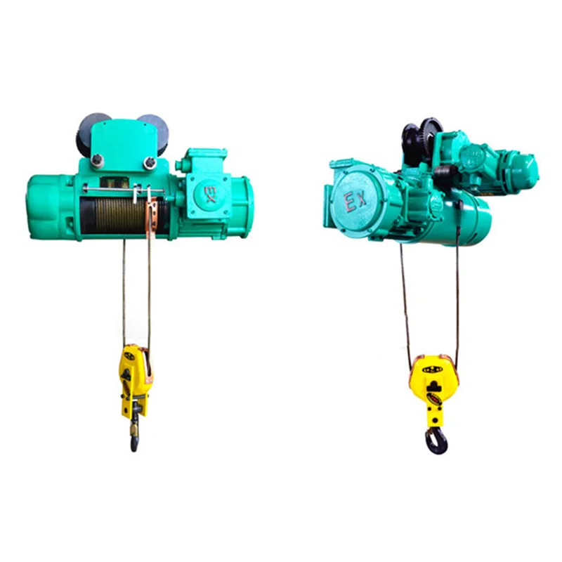 100kg 150kg 200kg 250kg 300kg 400kg 500kg 800kg 1000kg 1200kg Mini Electric Hoist