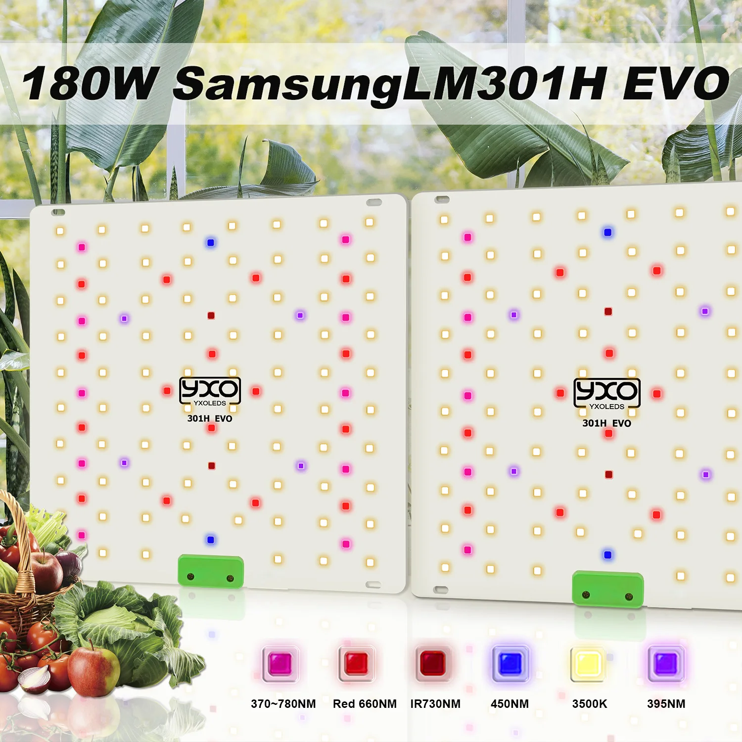 Lampada LED per coltivazione Greensindoor Grow Winds Flowering Quantum Board LM301H EVO 180W a spettro completo per piante