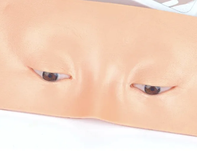 Silicone Facial Structure Teaching Model, Facial Tissue Simulation Learning Prop for Cosmetic Structure Study