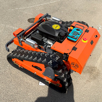 Customized Tractor Robot Gas Mini Remote Lawn Mower Smart Gasoline Lawn Mower
