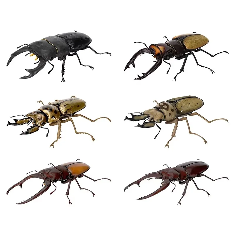 

Bandai Biology Encyclopedia: Stag Beetle 09 Spade Beetle Golden Ghost Spade Two-Point Red Saw Spade Insect Figurine Model Toys