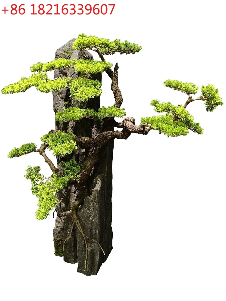 TAO Floor Rockery Stone Welcome Pine Decoration Indoor Entrance Root Stone Simulation Pine New Chinese Green Plant
