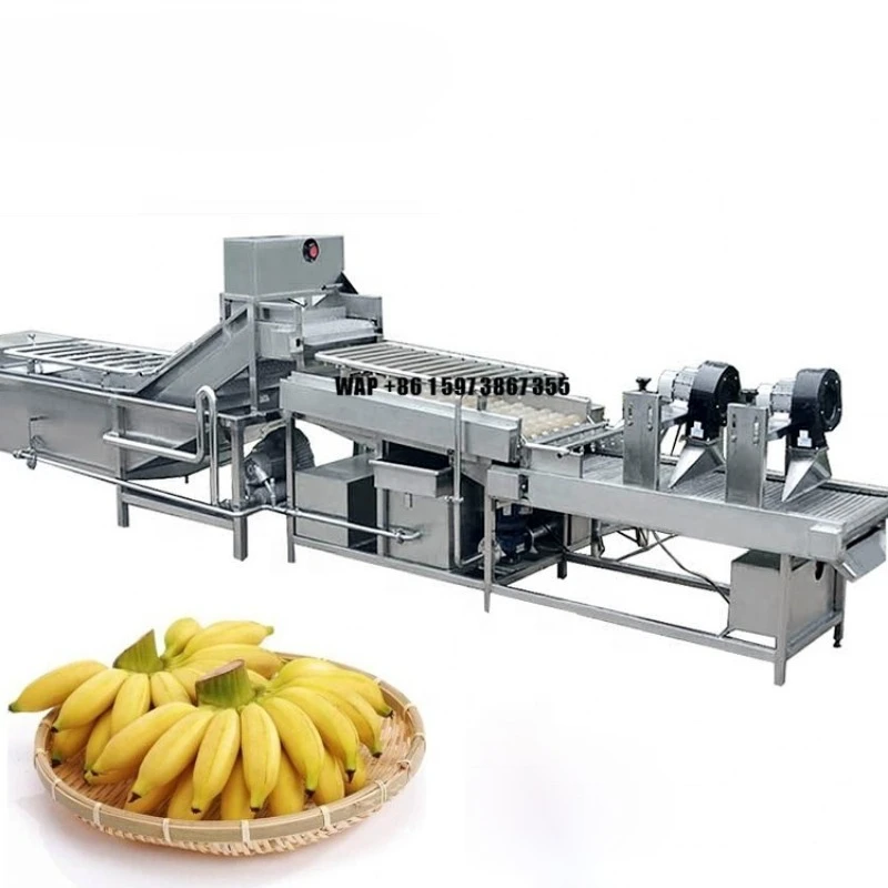 High Efficiency Fully Automatic Banana Slice Production Line Complete Food Processing with Cleaning Peeling Slicing Drying