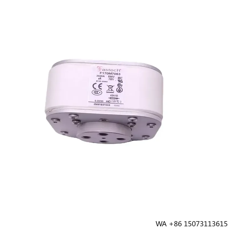 F170M7063 High Speed Semiconductor Fuse Link for Inverter UPS Power Electronics Protection