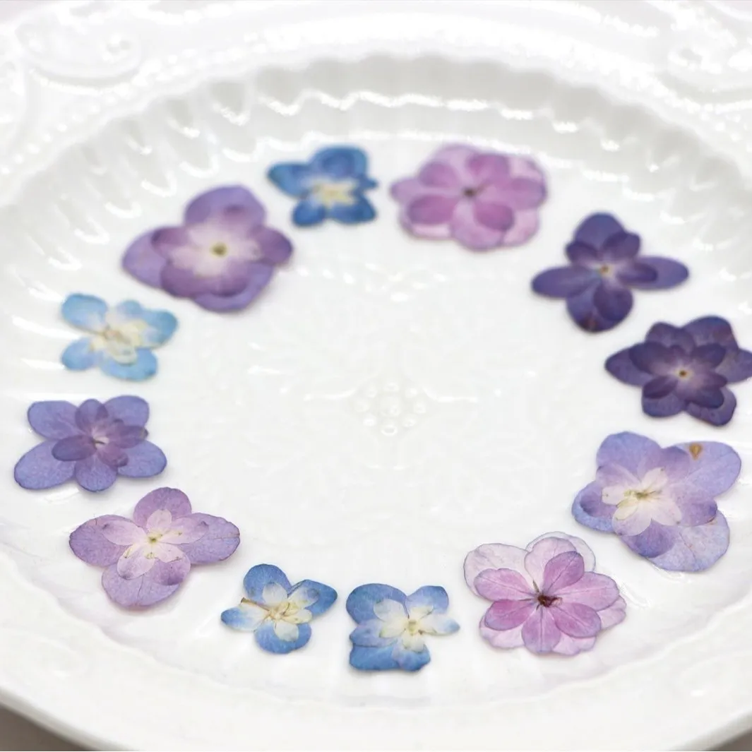 60Pcs Mini Double-Flowered Hyd - Dried Flower Bookmark ulasan dan harga