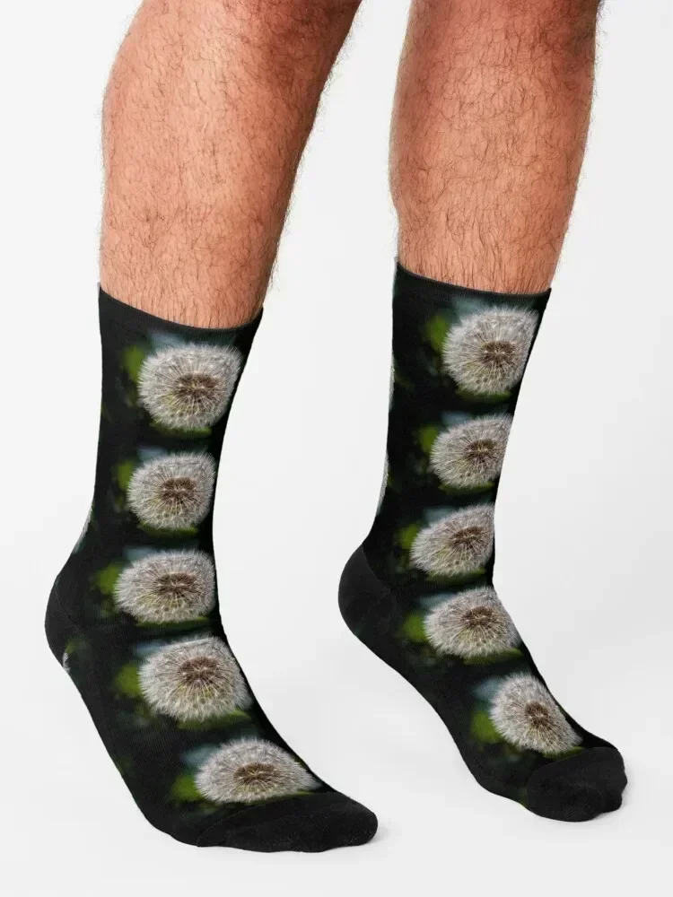 Dandelion Socks winter gifts Novelties kids sports and leisure Socks For Girls Men's
