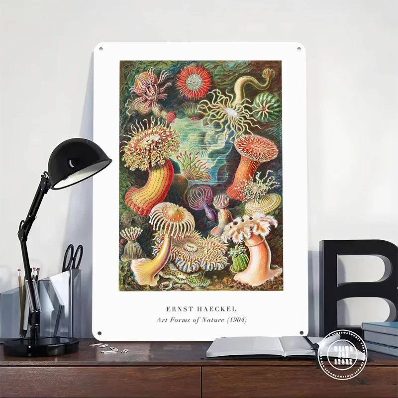 Ernst Haeckel's Art Forms of Nature 3D Texture Metal Poster Customized Wall Art Tin Sign Gift for Mancave Bar Accessories Decor