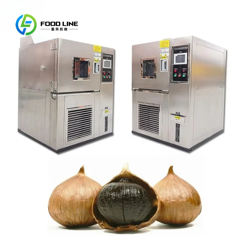 Black Garlic Fermenter Machinery FL Customized Wholesale Black Garlic Fermentation Machine for Sale