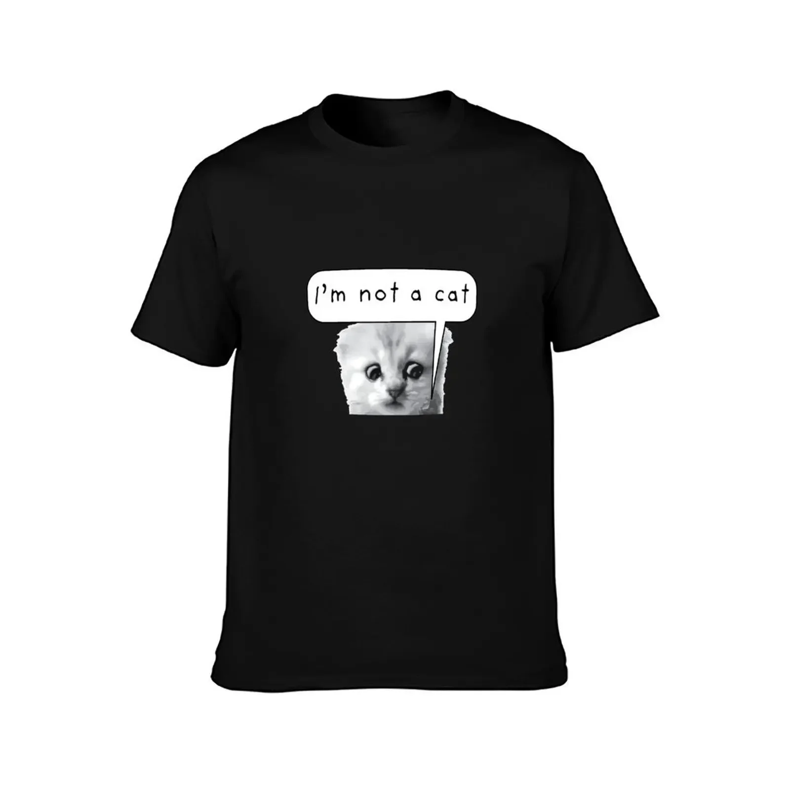 I'm not a cat' - funny lawyer Zoom call cat filter fail T-Shirt aesthetic clothes Blouse blacks mens graphic t-shirts