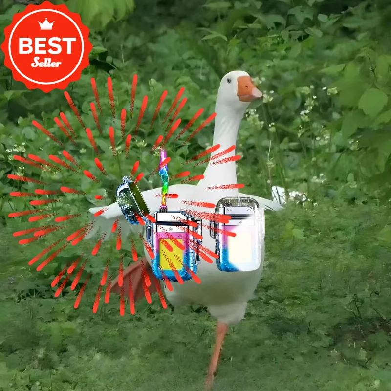 2025 New Transparen… - image