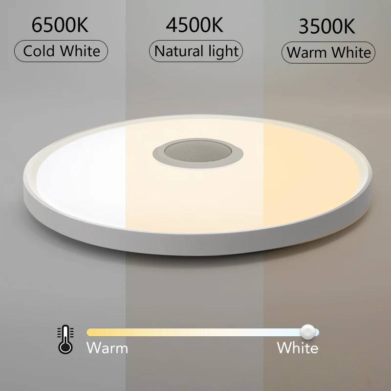 LED Smart Ceiling Lamps RGB APP Remote Control Dimming Modern Home Lighting Music Light with Speaker For Living Room Bedroom