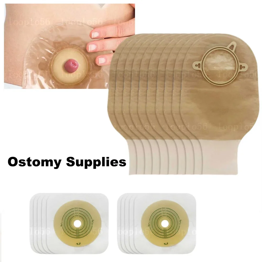 Colorectal Stool Bag Ostomy Supplies Colostomy Bags Two Piece Drainable Pouches with Hoop and Look Ileostomy Stoma Care Supplies